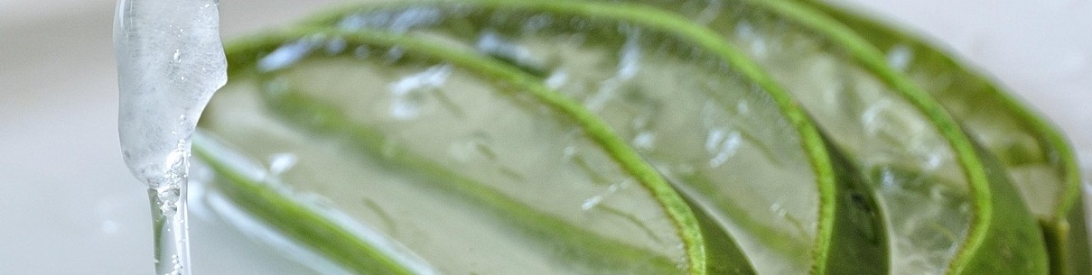 aloe vera on image 2